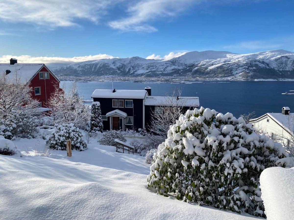 Great Place With View To The Mountains And Fjord โอเลซุนด์ ภายนอก รูปภาพ